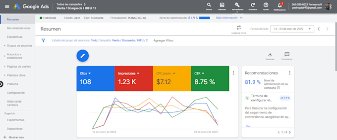 offer 1 on 1 google ads consultation with a specialist