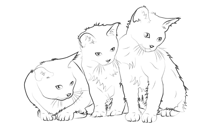 make vector line art illustration