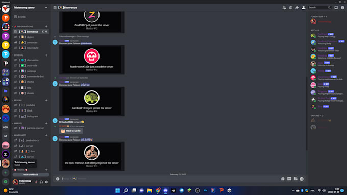 create a beautiful and professional discord server