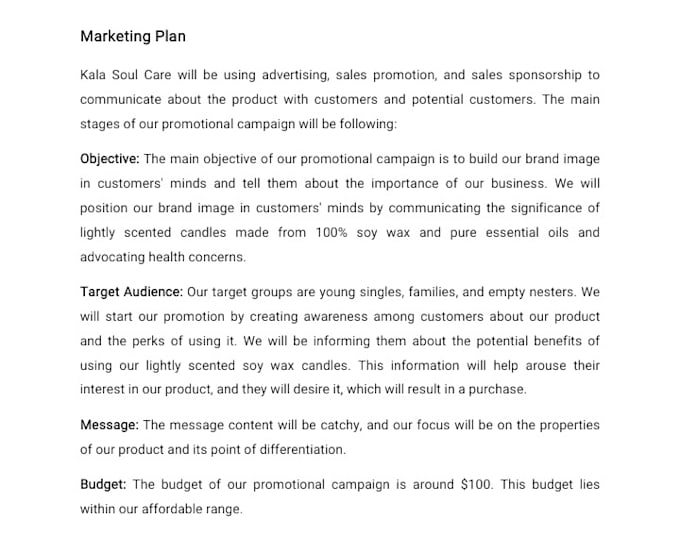 create investor ready business plan with financial plan