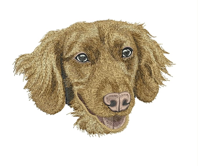 digitize image for embroidery, custom embroidery digitizing, embroidery logo