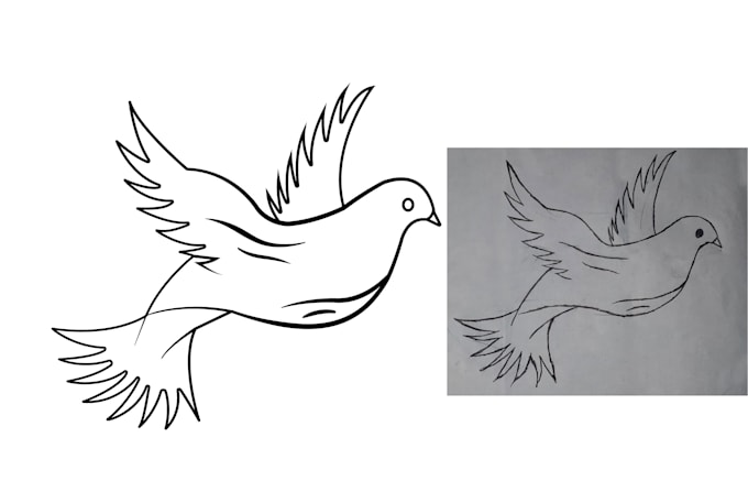 vector tracing or convert sketch, logo, image to vector