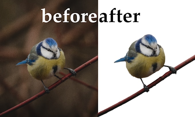 cut out images, cut out background remove fast