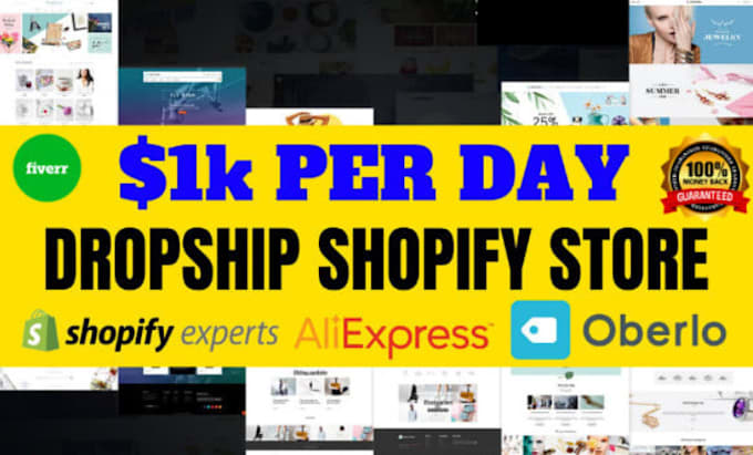 design drop shipping shopify website shopify dropshipping store, bug fixer