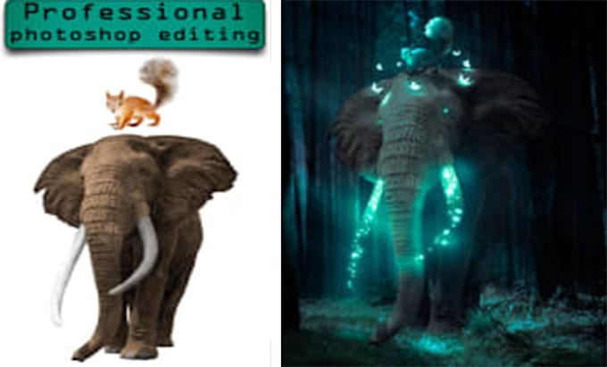 do professional photo editing or image editing