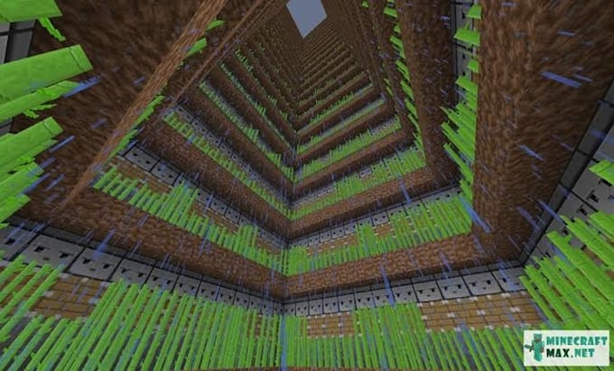 create 1000 piston lined sugarcane farm