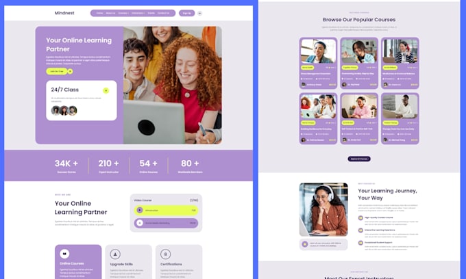 build a custom, high converting wordpress website