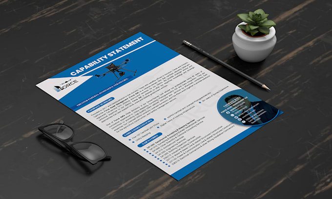 create a professional capability statement for government contracts