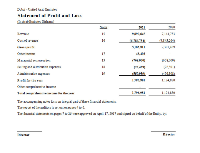 Prepare financial statements, statement, balance sheet as per