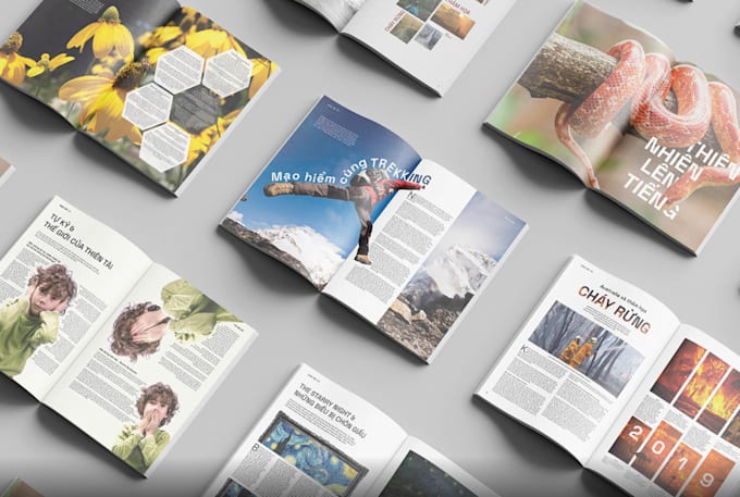 create a creative magazine layout design