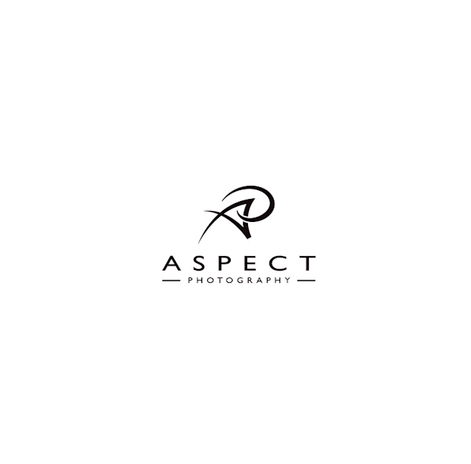 design aspect photography logo