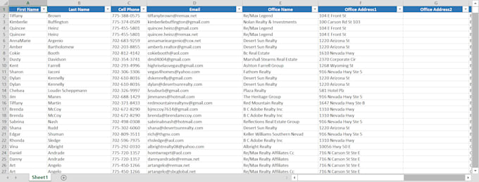 clean your excel contact database