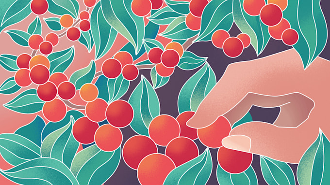 design attractive packaging illustrations