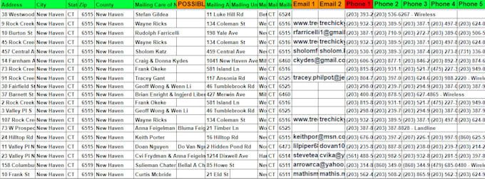 provide you accurate bulk skip tracing i real estate bisnuss