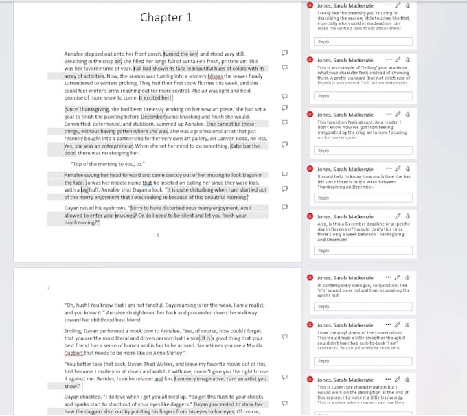 beta read your book and leave detailed in text feedback