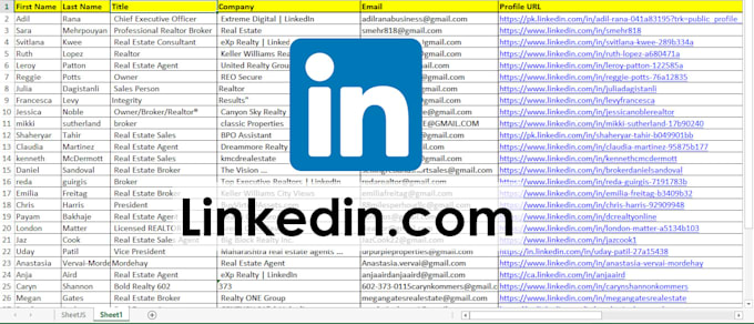 do data extraction and data entry in low price