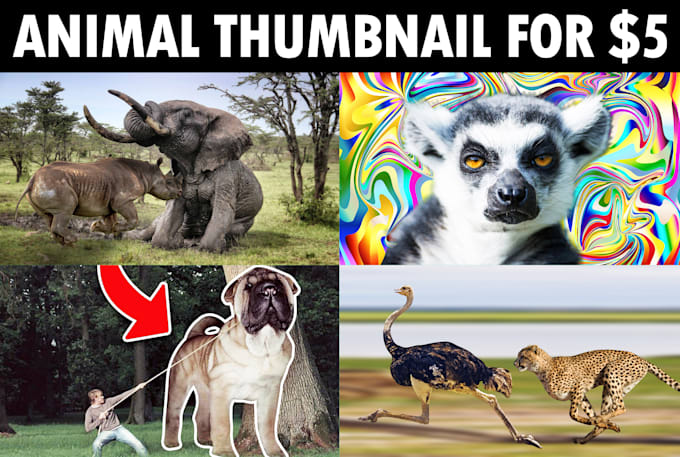 design youtube thumbnail for animal channel