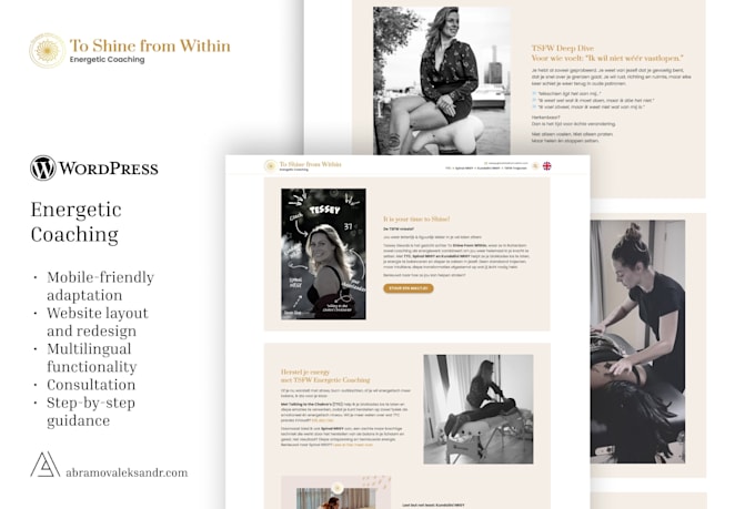 fix wordpress theme bugs, errors and design issues