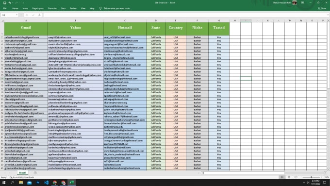collect country and niche based active emails for email marketing
