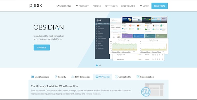 do wordpress website design