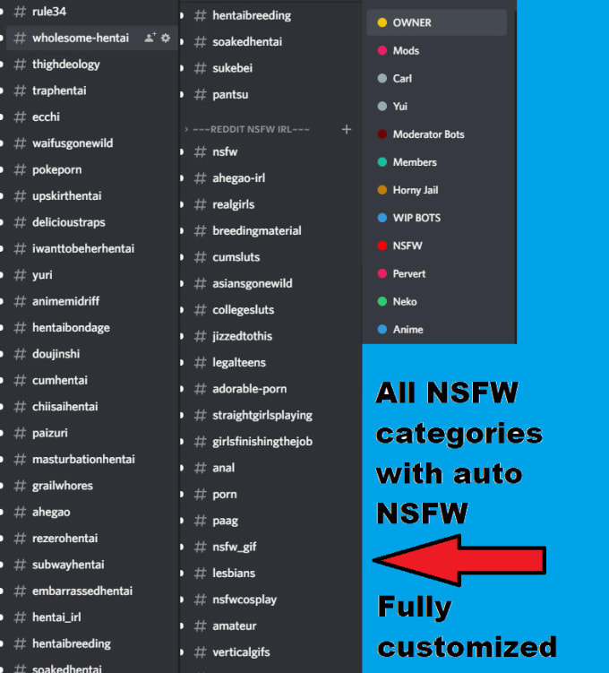 Make a nsfw discord server with auto nsfw bots by Drixrnl Fiverr