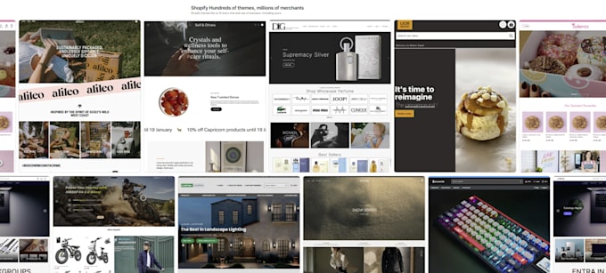 do shopify premium theme installation and advanced design
