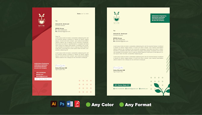 design a professional letterhead template