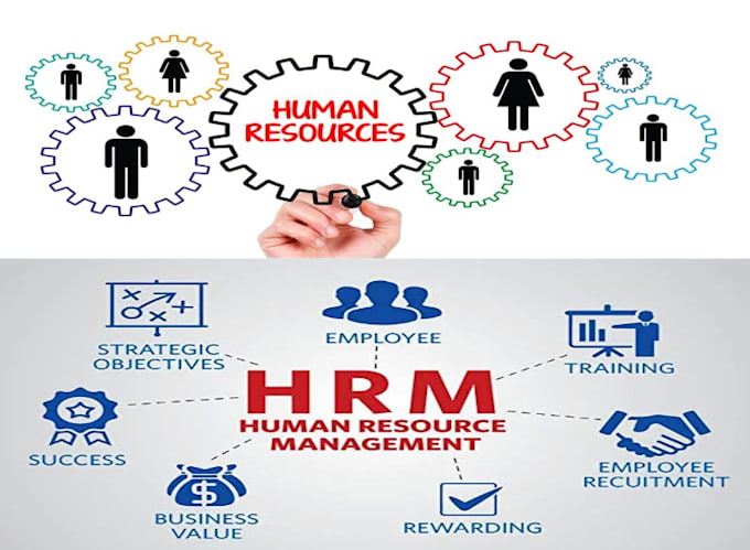 provide business and HR consulting services