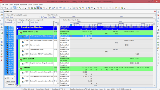 create baseline schedule, update progress, custom layouts using primavera p6