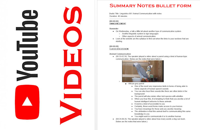 summarize your youtube videos or articles into text