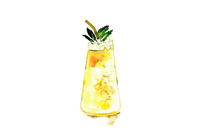 do stylish cocktail and drink illustrations
