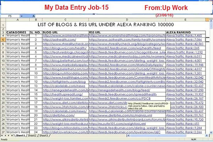 data entry and copy paste
