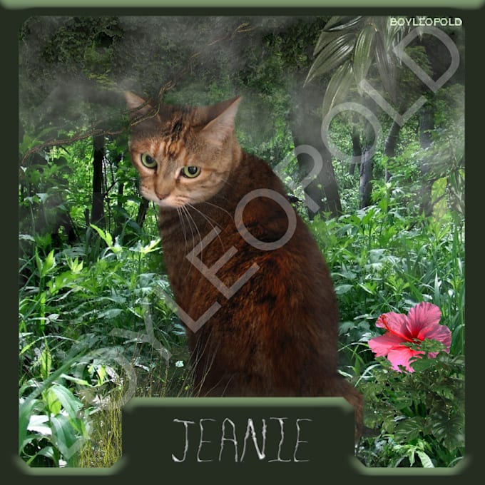 create you a Internet Trading Card