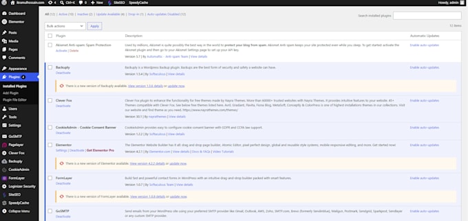 design and develop your word press website