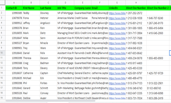 create a prospect cold email and direct phone list for you
