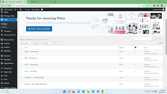 do professional ecommerce and wordpress data entry, woocommerce product listing