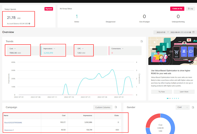 design high converting tiktok video ads campaign for a dropshipping product