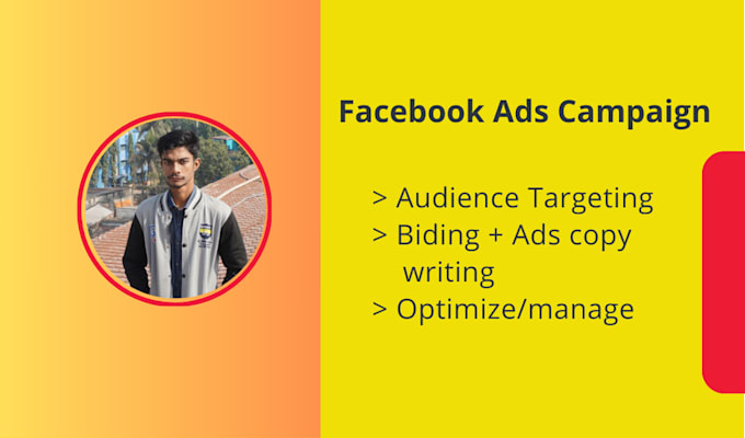 setup facebook and instagram ads campaign, optimize and manage