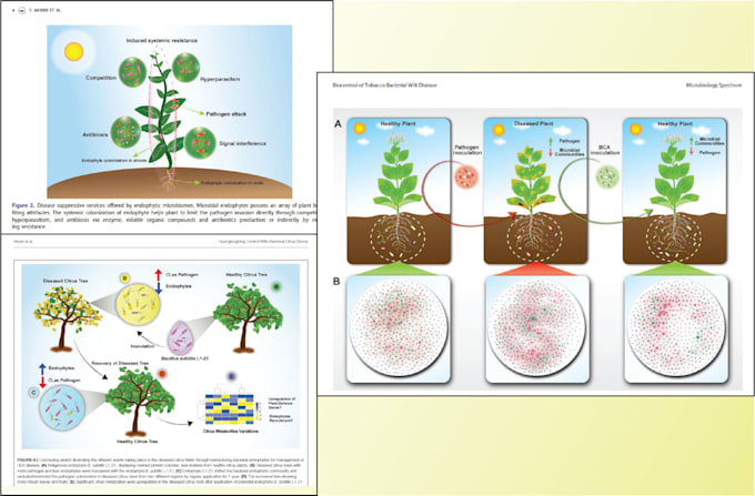 create scientific illustrations, posters and figures