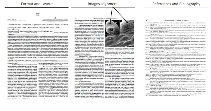 proofread your scientific article