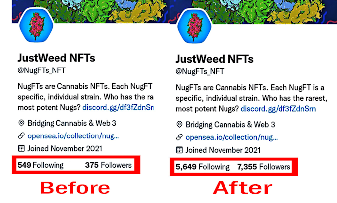 do organic twitter growth and nft promotion