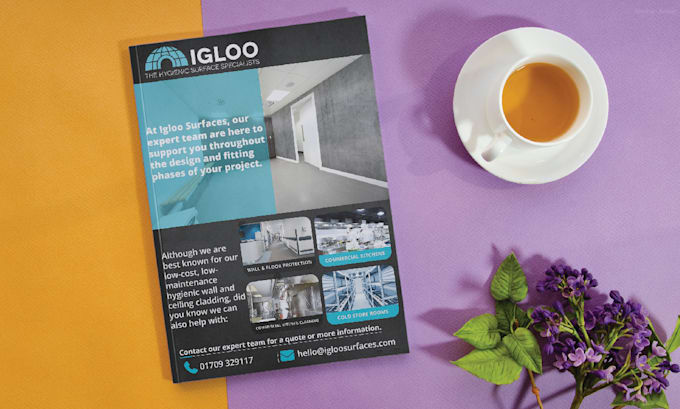 design professional a3,a4,a5,a6 flyers in 5 hours