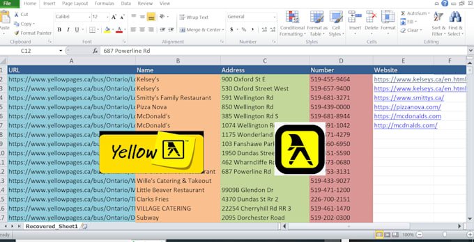 do web scraping, yellow pages scraping and data entry