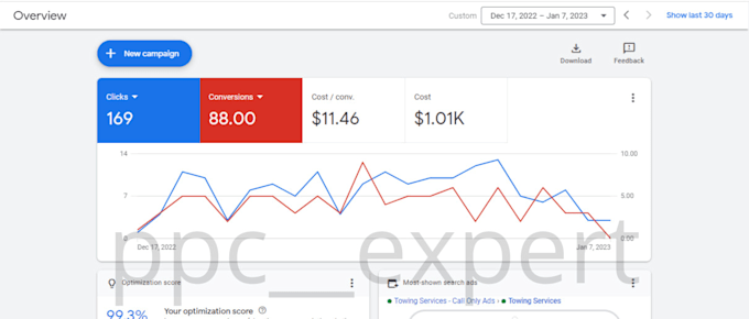 audit, optimize and manage google ads to maximize ROI