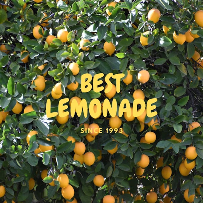 Make your business well known by my services by Danigraur18 Fiverr