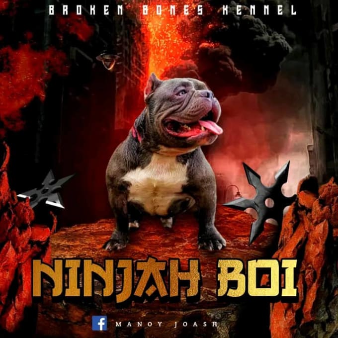 Design you unique dog breeding banner for your dog kennel by Nashaeesha