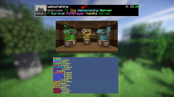 setup your minecraft server for you