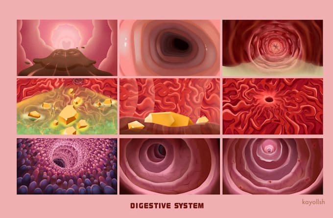 draw a medical illustration