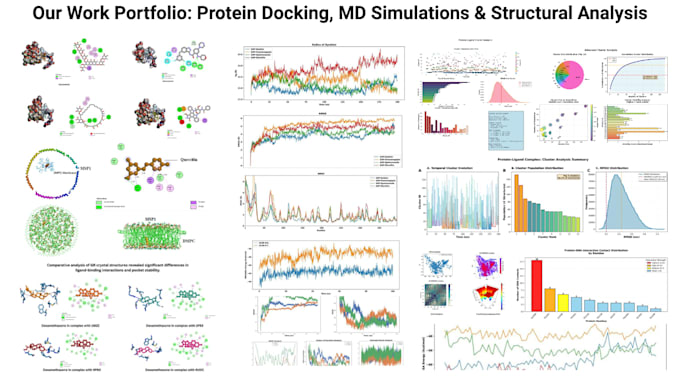 provide docking and MD simulation services