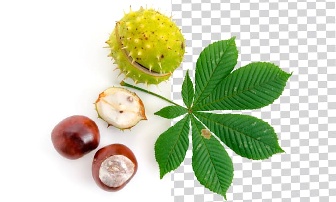 do  realistic image editing and background removal from the image